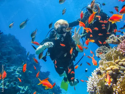 Наше преимущество